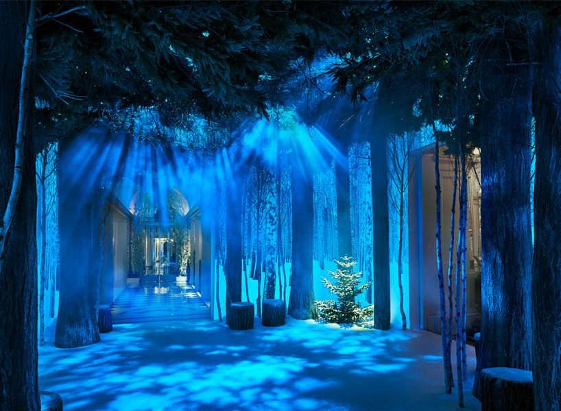 Blue, Winter, Majorelle blue, Electric blue, Freezing, Snow, Conifer, Fir, Decoration, Christmas decoration, 