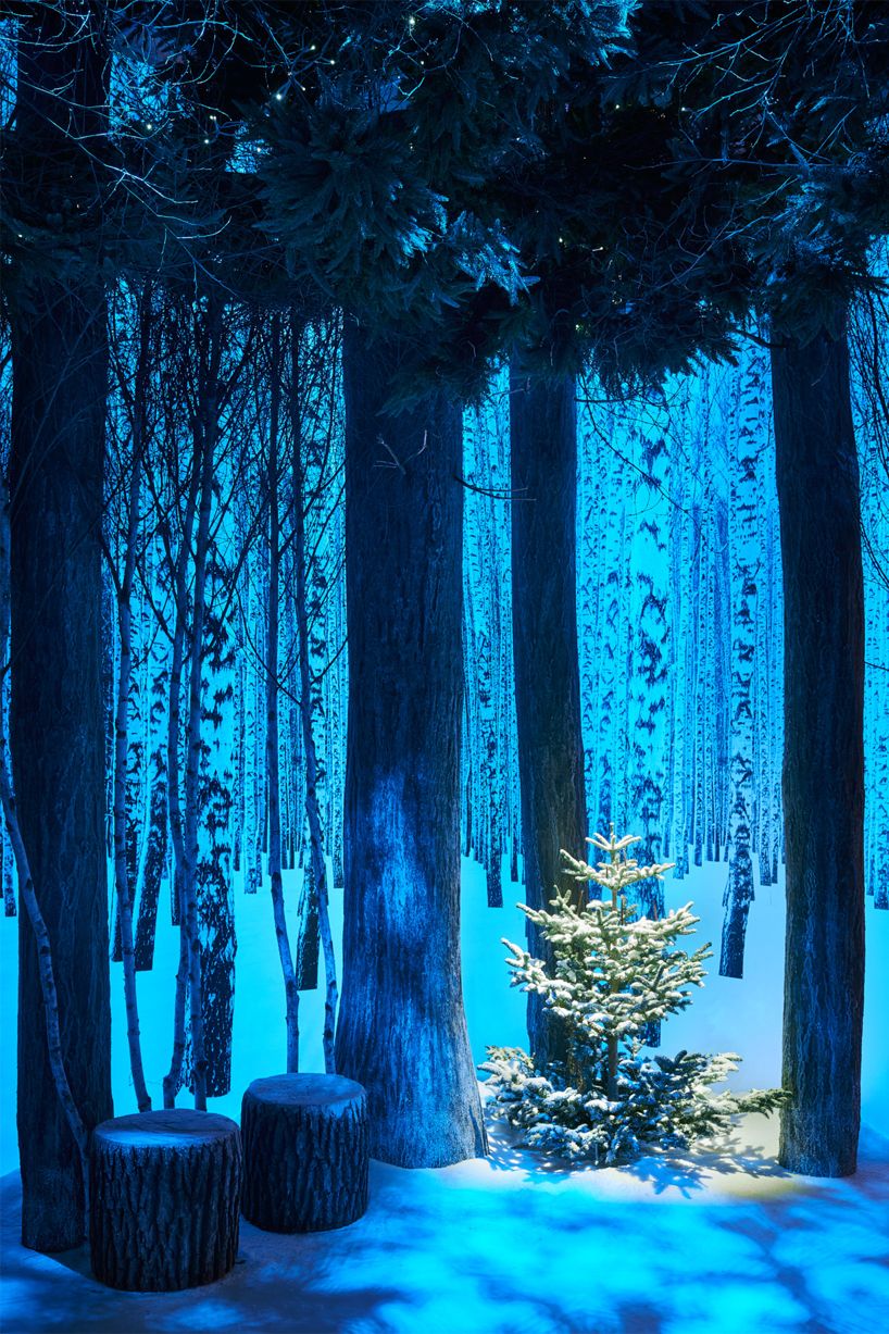 Blue, Branch, Winter, Tree, Trunk, Forest, Majorelle blue, Snow, Grove, Spruce-fir forest, 