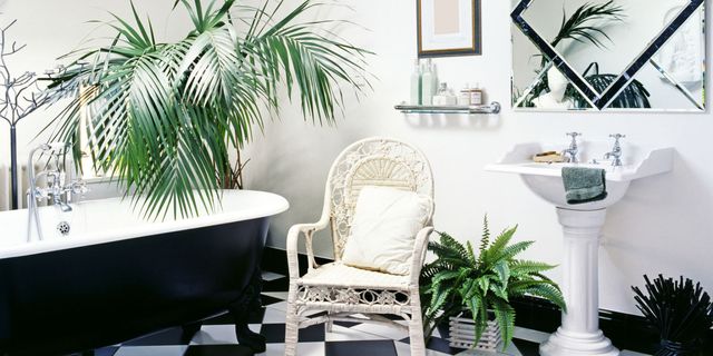 Furniture, Houseplant, Room, Interior design, Plant, Living room, Flowerpot, Tree, Table, Chair, 