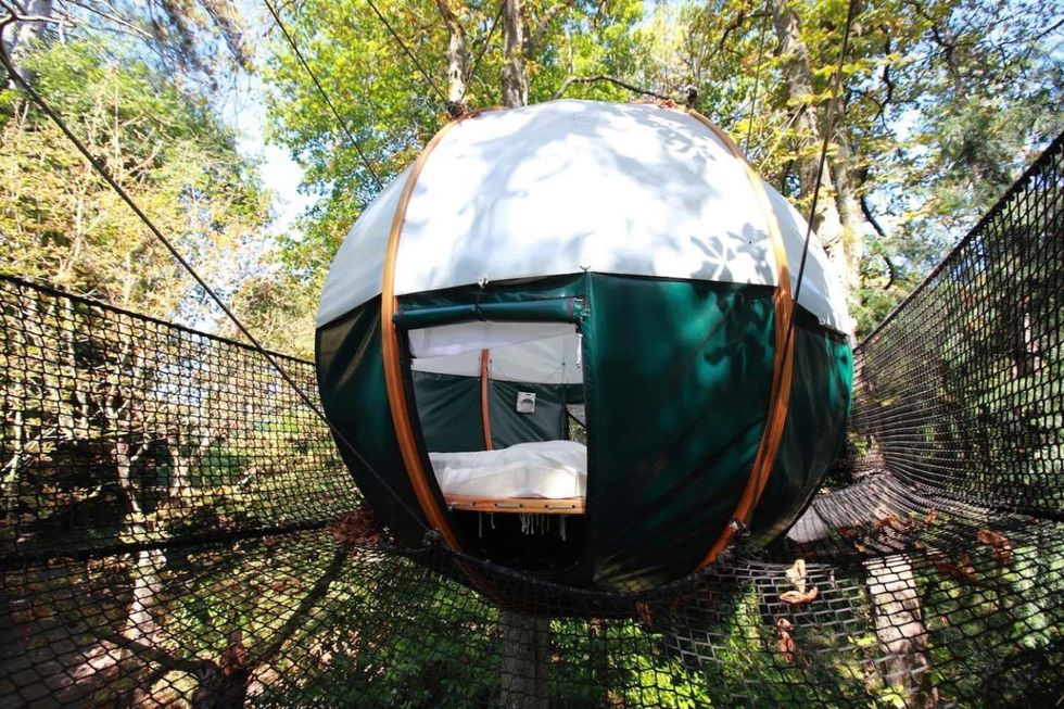 Airbnb: cocon douillet dans les arbres