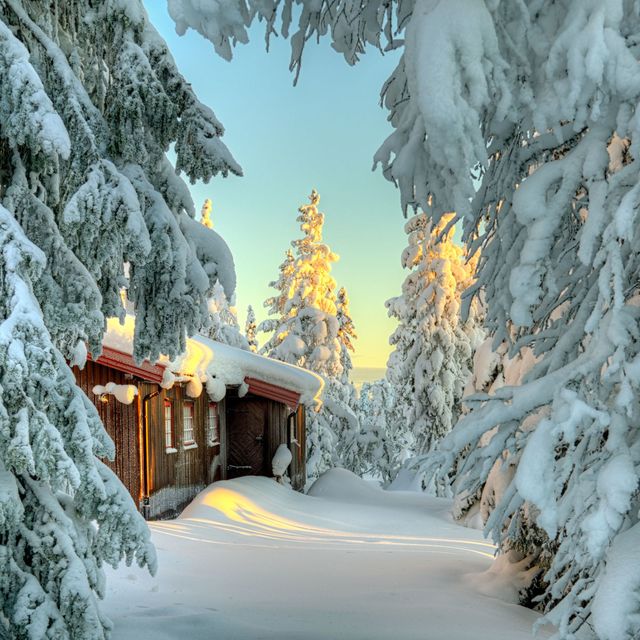 Winter, Branch, Freezing, Snow, Woody plant, House, Home, Biome, Slope, Evergreen, 