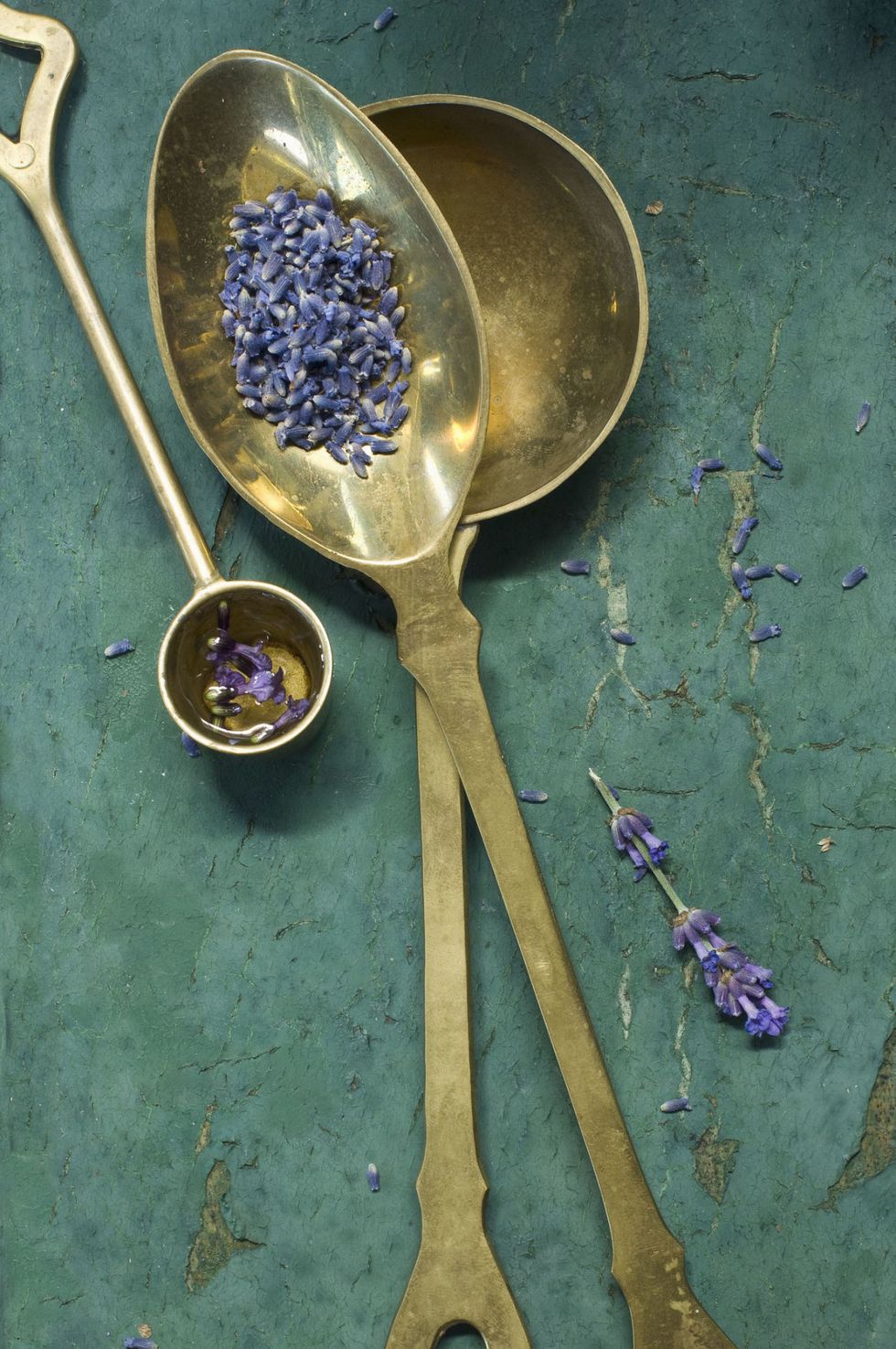 Blue, Kitchen utensil, Ingredient, Cutlery, Purple, Serveware, Dishware, Tableware, Spoon, Lavender, 