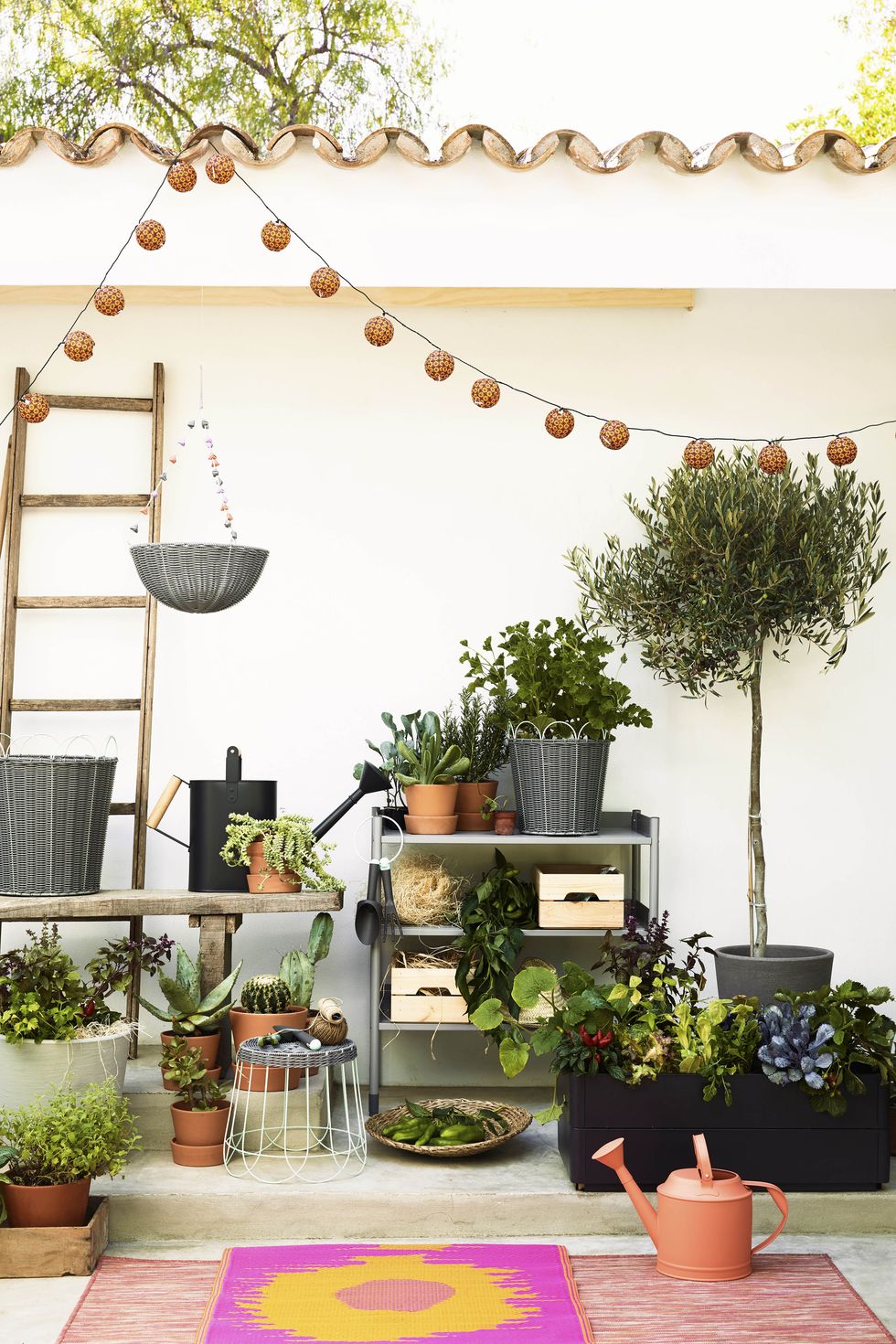 Flowerpot, Interior design, Houseplant, Twig, Vase, Pottery, Backyard, 