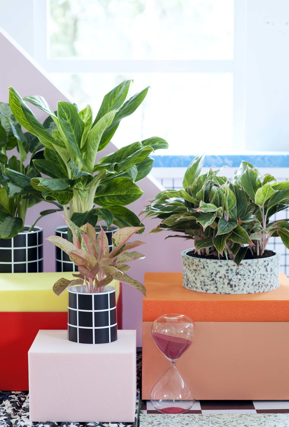 Flowerpot, Leaf, Glass, Interior design, Drinkware, Houseplant, Vase, Design, Annual plant, Herb, 