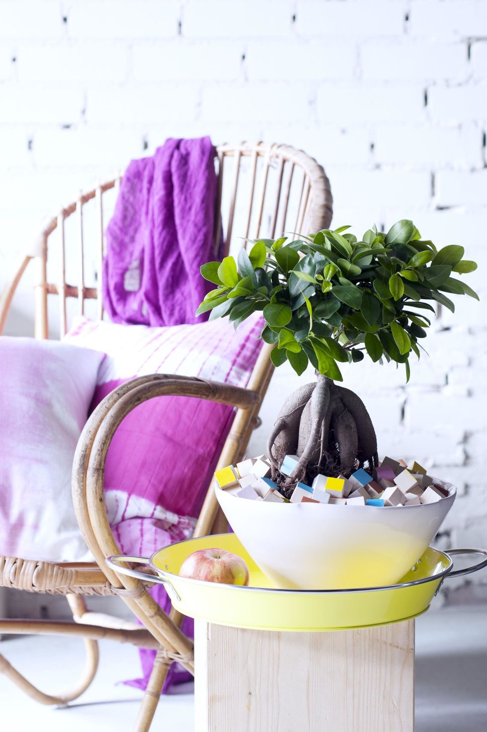 Purple, Lavender, Violet, Interior design, Flowerpot, Herb, Home accessories, Linens, Annual plant, Serveware, 