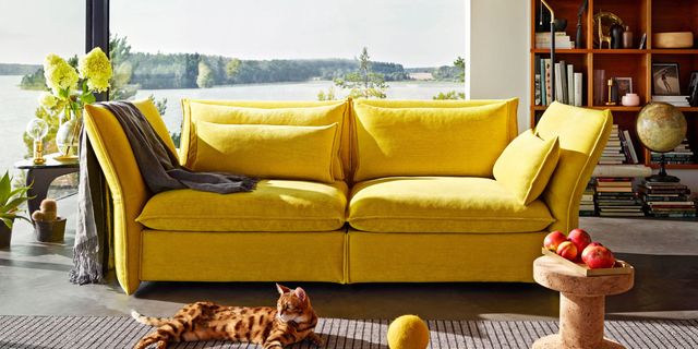 Couch, Yellow, Furniture, Living room, Room, Sofa bed, studio couch, Interior design, Loveseat, Floor, 