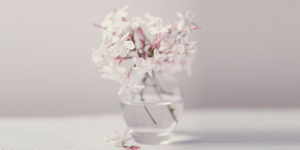 Petal, Flower, White, Cut flowers, Glass, Flowering plant, Flower Arranging, Bouquet, Vase, Still life photography, 