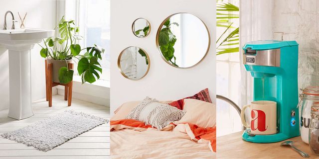 Green, Product, Room, Leaf, Houseplant, Furniture, Interior design, Floor, Plant, Shelf, 