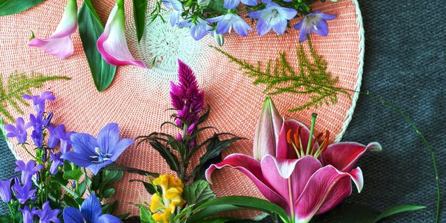 Flower, Petal, Flowering plant, Purple, Botany, Magenta, Terrestrial plant, Lavender, Vascular plant, Annual plant, 