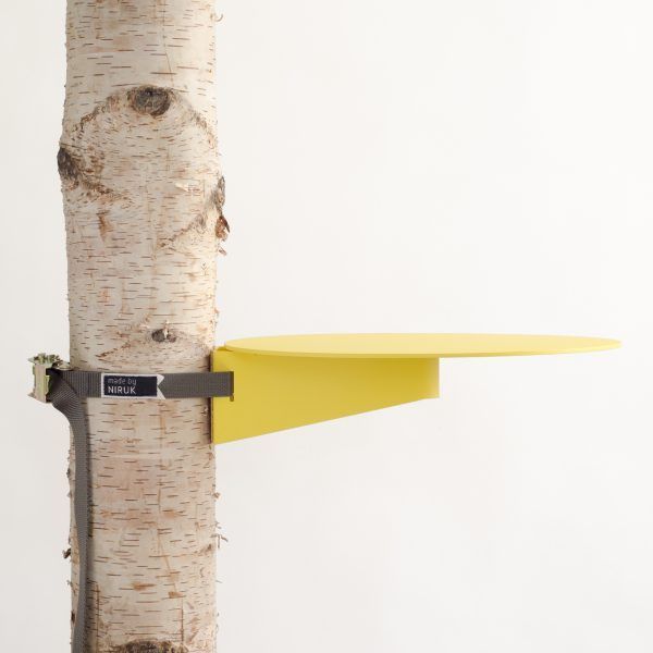 Wood, Yellow, Line, Beige, Composite material, Trunk, Cylinder, 