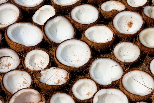 Coconut, Wood, 