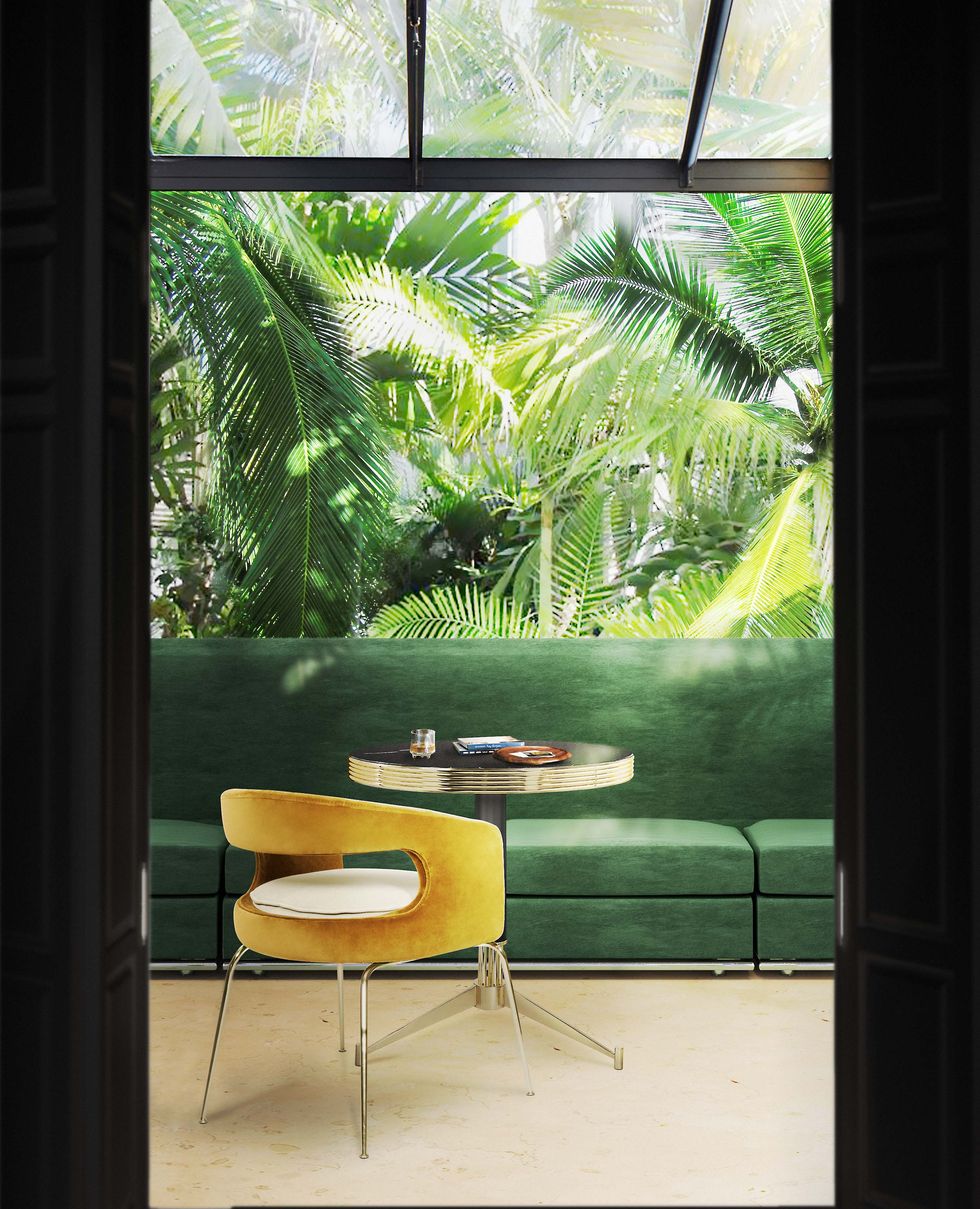 Green, Room, Interior design, Furniture, Yellow, Window, House, Table, Tree, Architecture, 