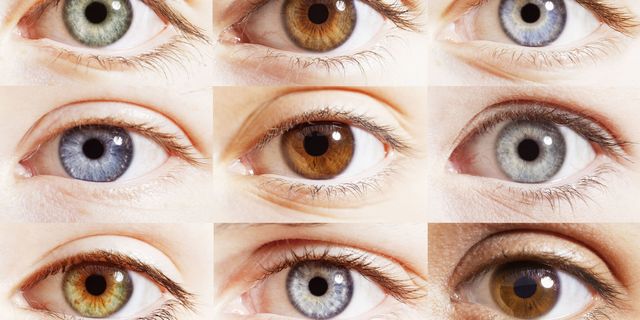 Colorfulness, Blue, Green, Brown, Eyelash, Eyebrow, Iris, Close-up, Organ, Photography, 