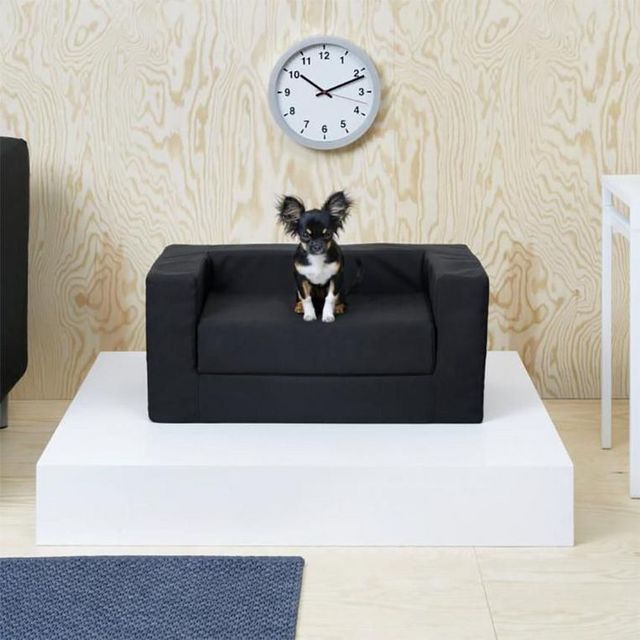 Furniture, Couch, Clock, Home accessories, Rectangle, Table, Room, Living room, Interior design, Deer, 
