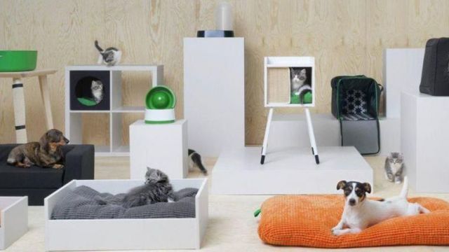 Wat dan ook bewonderen troon IKEA komt voor het eerst met een lijn voor honden en katten