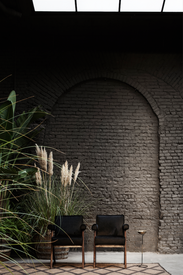 Wall, Brick, Lighting, Furniture, Room, Architecture, House, Plant, Brickwork, Tints and shades, 