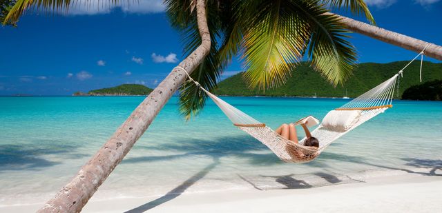 Hammock, Vacation, Tropics, Caribbean, Tree, Palm tree, Azure, Turquoise, Outdoor furniture, Arecales, 