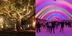 Purple, Light, Lighting, Pink, Tree, Sky, Fun, Event, Architecture, Night, 