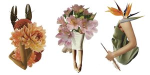 Cut flowers, Flower, Plant, Bouquet, Feather, Petal, Headpiece, Hair accessory, Wildflower, Headband, 