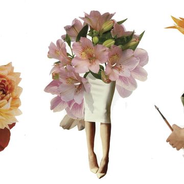 Cut flowers, Flower, Plant, Bouquet, Feather, Petal, Headpiece, Hair accessory, Wildflower, Headband, 