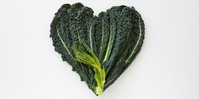 Lacinato kale, Leaf vegetable, Leaf, Vegetable, Plant, Kale, Tatsoi, Heart, Flower, wild cabbage, 