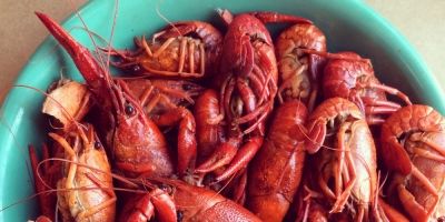 Lobster, Seafood, Food, Crayfish, Caridean shrimp, Seafood boil, Decapoda, Shrimp, American lobster, Crustacean, 