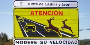 Deer, Sign, Text, Line, Signage, Slope, Parallel, Traffic sign, Rectangle, Advertising, 