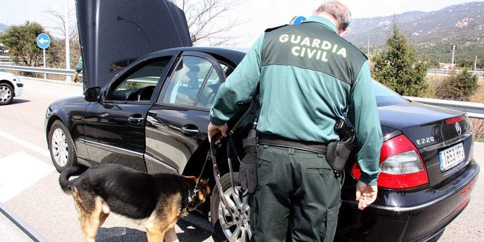 Dog, Canidae, Police dog, Vehicle, Car, Vehicle door, German shepherd dog, Carnivore, Dog breed, Law enforcement, 