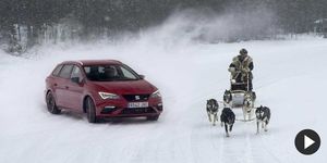 Automotive mirror, Automotive design, Winter, Dog, Carnivore, Snow, Dog sled, Sled dog, Car, Headlamp, 