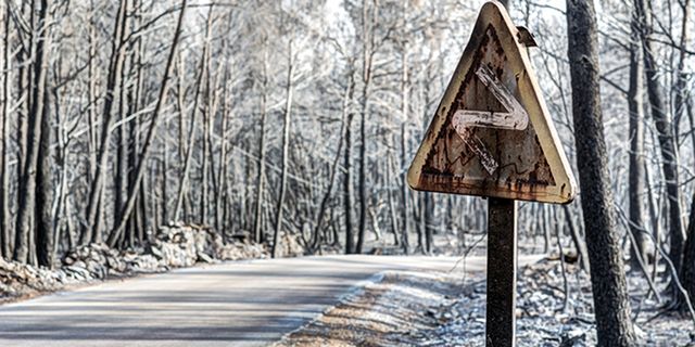 Branch, Wood, Winter, Natural landscape, Sunlight, Trunk, Triangle, Freezing, Woodland, Signage, 