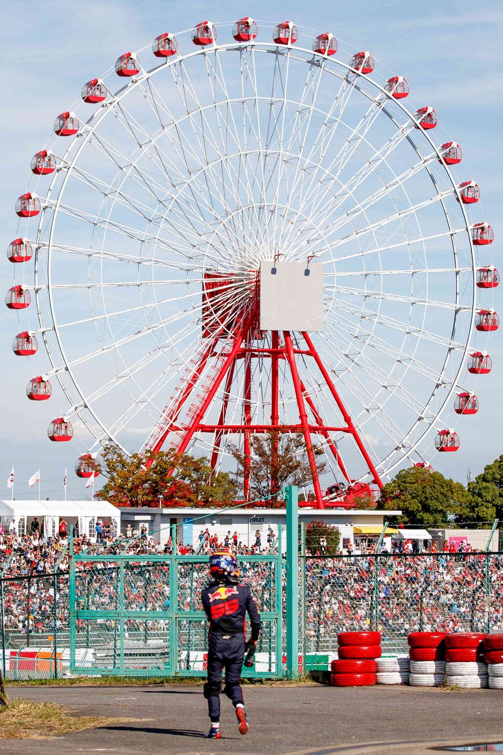 Ferris wheel, Amusement ride, Landmark, Amusement park, Tourist attraction, Wheel, Fun, Recreation, Fair, Sky, 