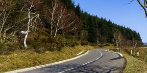 Road, Mountain pass, Tree, Sky, Mountain, Asphalt, Road surface, Infrastructure, Slope, Leaf, 