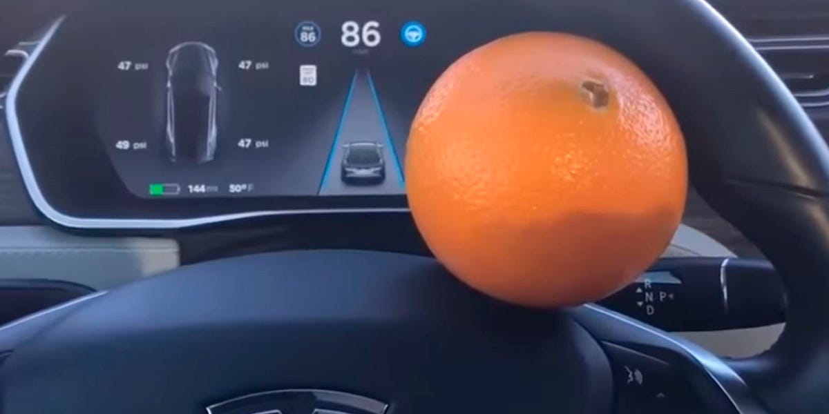 El motivo por el que el conductor de un Tesla siempre lleva una mandarina en la guantera 3 Motor16 conductor citrico