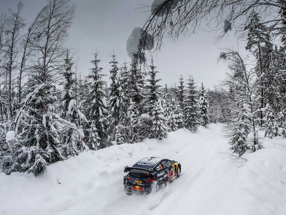 Snow, Winter, Freezing, Vehicle, Geological phenomenon, World rally championship, Motorsport, Tree, Racing, Car, 