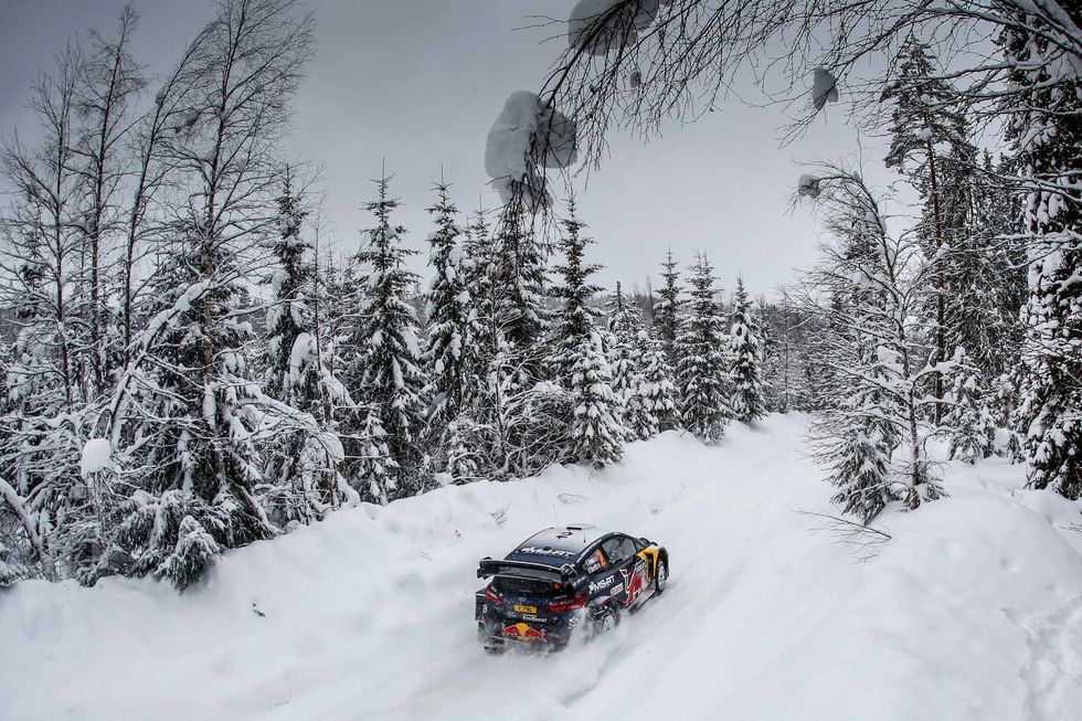 Snow, Winter, Freezing, Vehicle, Geological phenomenon, World rally championship, Motorsport, Tree, Racing, Car, 