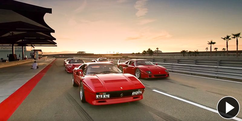 ferrari 288 gto f40 f50 enzo laferrari