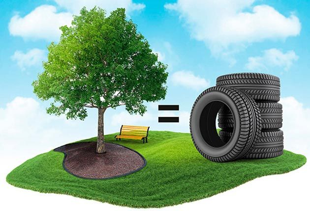 Tire, Automotive tire, Green, Tree, Grass, Woody plant, Automotive wheel system, Shrub, Lawn, Plant, 