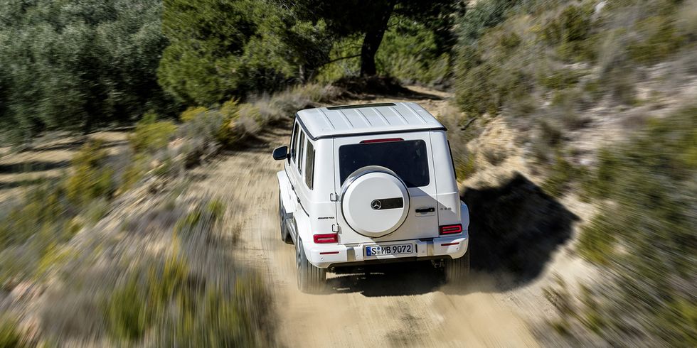 Land vehicle, Vehicle, Car, Off-roading, Off-road vehicle, Plant community, Land rover defender, Sport utility vehicle, Jeep, Mercedes-benz g-class, 
