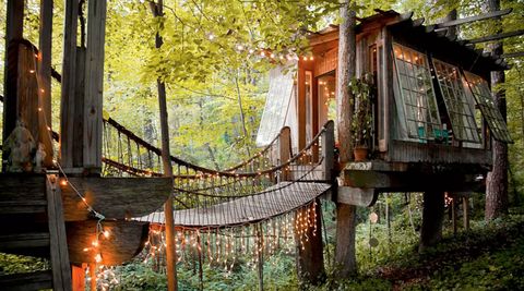 La casa más famosa de Airbnb se encuentra en los árboles