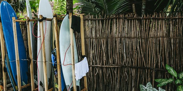 Surfboard, Surfing Equipment, Plant, Tree, Textile, Wood, Bamboo, Vacation, House, 