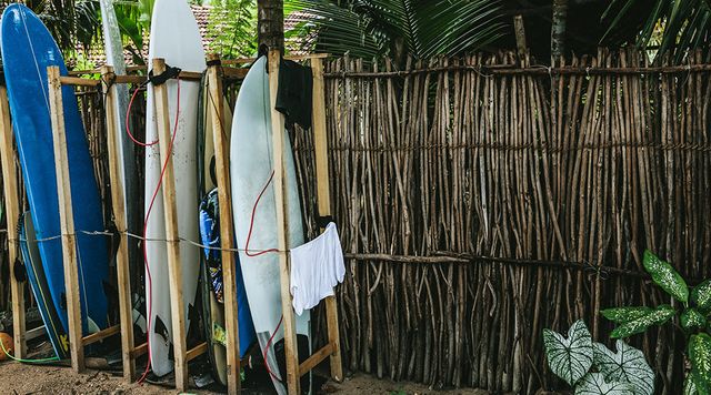 Surfboard, Surfing Equipment, Plant, Tree, Textile, Wood, Bamboo, Vacation, House, 