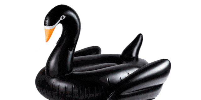 Swan, Bird, Water bird, Ducks, geese and swans, Inflatable, Waterfowl, Recreation, Beak, Games, 