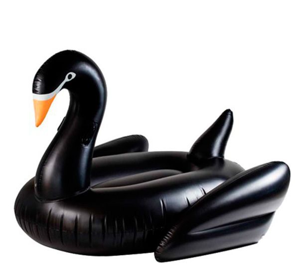 Bird, Swan, Water bird, Ducks, geese and swans, Inflatable, Waterfowl, Recreation, Beak, Games, Hunting decoy, 
