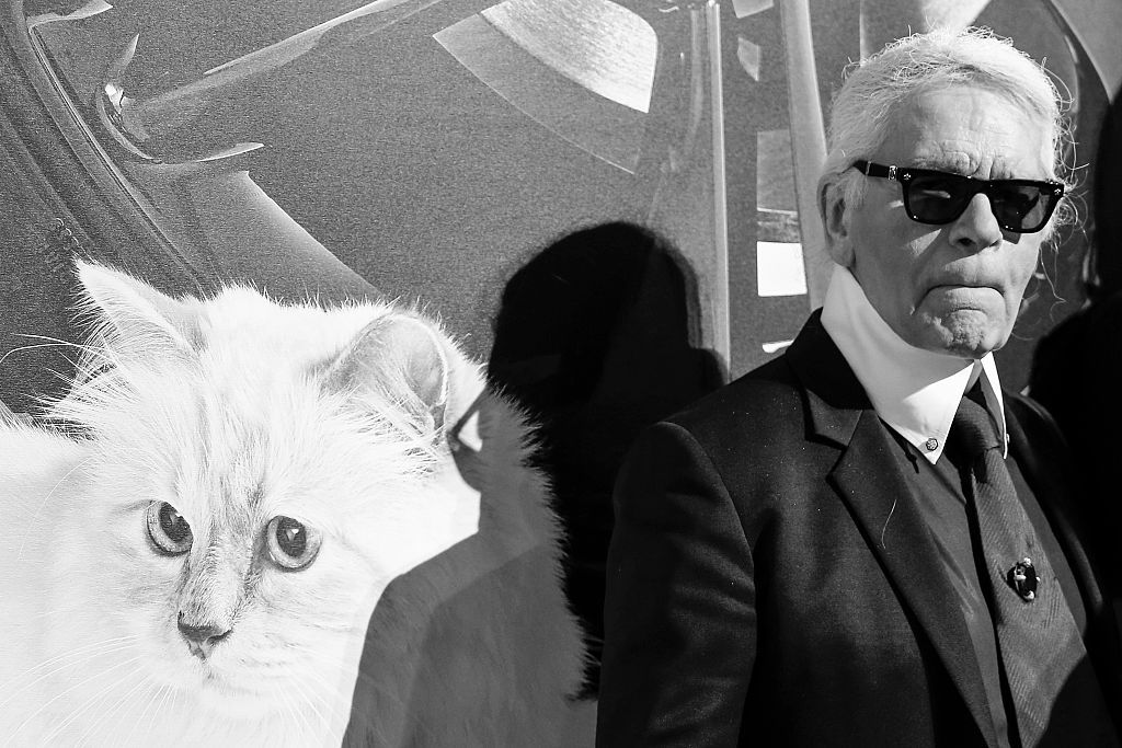 Tenemos mucha envidia de la lista de regalos de Choupette, la gata de Karl  Lagerfeld