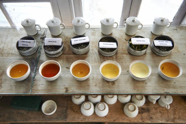 Serveware, Ingredient, Dishware, Cup, Drinkware, Darjeeling tea, Spice, Tea, Ceylon tea, Dianhong tea, 
