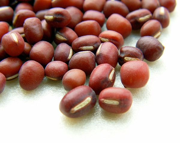 Brown, Ingredient, Kidney beans, Produce, Bean, Legume, Natural material, Still life photography, Seed, Ricebean, 