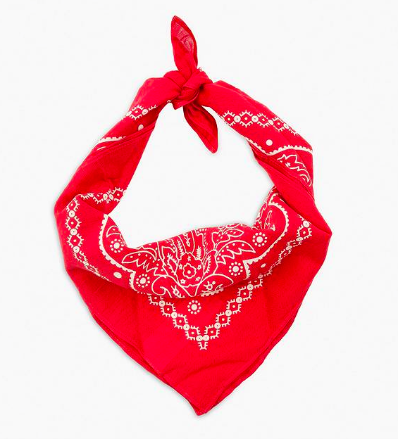 Red, Pink, Fashion accessory, Pattern, Design, Neck, Scarf, Visual arts, Knot, 