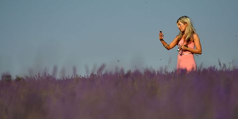 Human body, Purple, Mammal, Lavender, Violet, People in nature, Field, Grassland, Grass family, Meadow, 