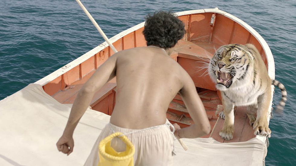 Tiger, Bengal tiger, Vertebrate, Siberian tiger, Boat, Carnivore, Felidae, Watercraft, Naval architecture, Big cats, 