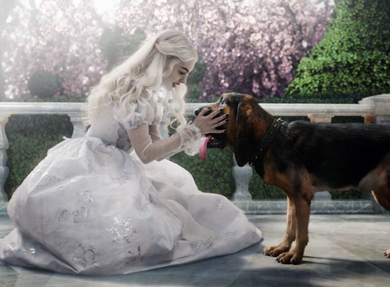Dog breed, Carnivore, Dress, Dog, Wedding dress, Companion dog, Long hair, Veil, Bridal clothing, Gown, 